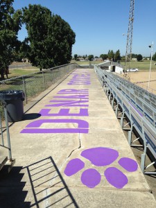 DHS Paw Prints