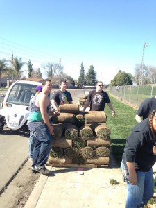 DHS Students Help Lay Sod